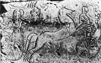 Хеттские колесничие, изображённые египтянами