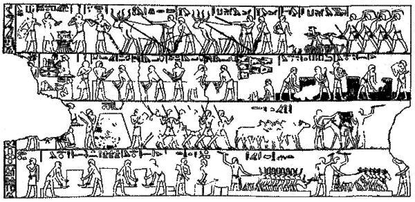 Сцены земледельческих работ. Рельеф из гробницы в Шейх-Саиде. Древнее царство.