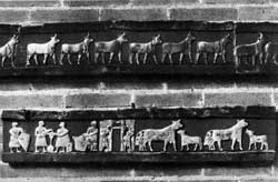 Доение коров в храмовом хозяйстве. Изображение на стене храма. Городище Эль-Обейд. Древний Шумер. Около 2600 г. до н. э. Перламутровая инкрустация.