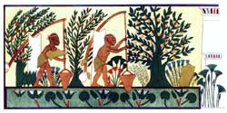 Поливка сада при помощи шадуфов. Роспись из гробницы Ипуи в Фивах. Египет. XIX династия.