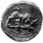 Монета из Оска с изображенном италийского быка, попирающего римскую волчицу. I в. до н. э.