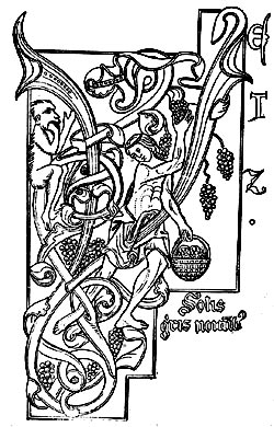Сбор винограда. Миниатюра из рукописи. XIII в.