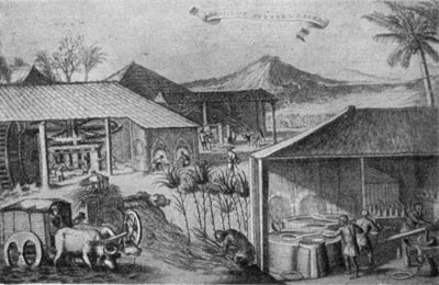 Производство сахара в Бразилии. Гравюра 1682 г.