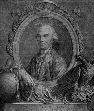 Жорж Луи Леклерк де Бюффон. Гравюра В. Ванжелисти 1777 г.