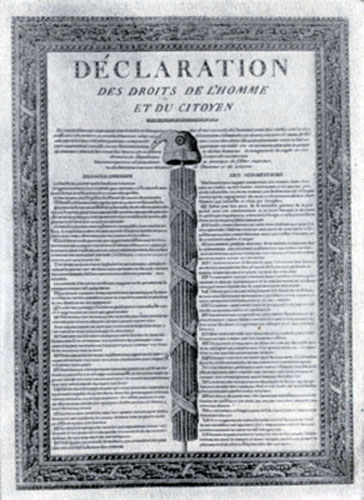 Декларация прав человека и гражданина. Плакат.