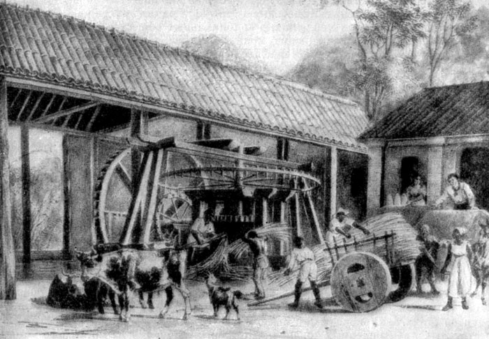 Сахарный завод в Бразилии. Литография. 1835 г.