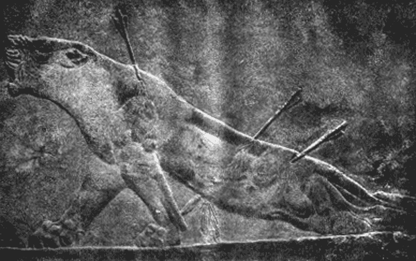 Умирающая львица. Ассирийский рельеф из дворца в Ниневии