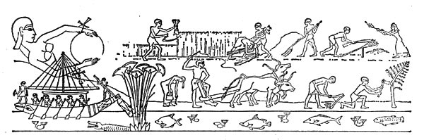 Реконструированное изображение, взятое из различных египетских гробниц,   показывает,   какое   важное значение имело речное земледелие для Древнего Египта