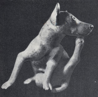 Чешущаяся собака. Глиняный сосуд. Культура Северо-Запада
