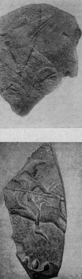Обломки вьючных фляг, украшенных рельефными изображениями
