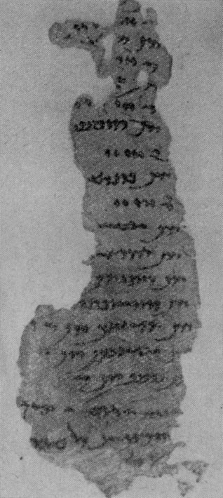 Хозяйственные документы на дереве и на коже из архива Топрак-калы