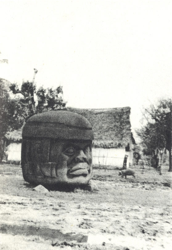 На размокшем 'Главном проспекте' Трес-Сапотеса - бедной современной индейской деревни - я увидел первую ольмекскую 'голову' 