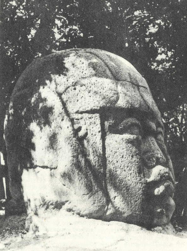 Одна из каменных голов, украшающая Ла-Венту