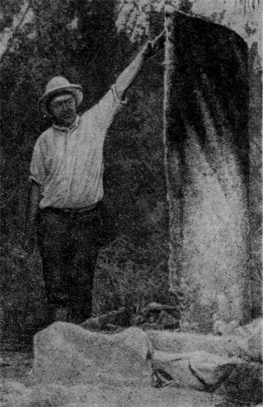 Угловой столб в храме Раухара (остров Тонгавера)