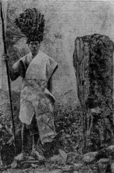 Роротонганский верховный  жрец храма Араите-тонга и посвятительный столб Таумакева