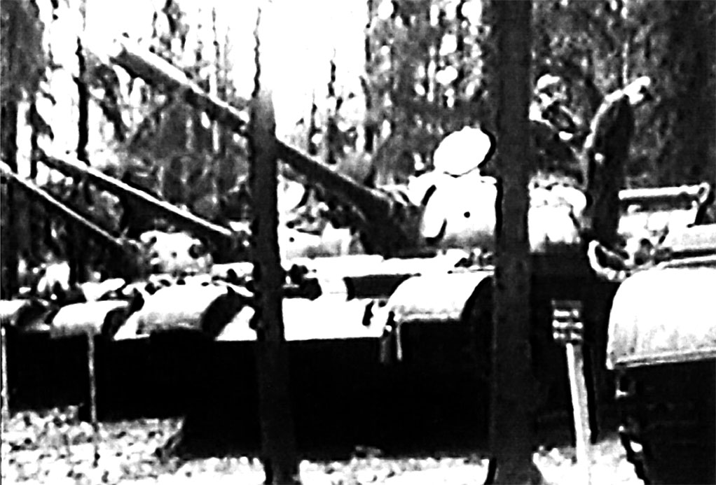 Скрытые в лесах танковые подразделения вблизи с границей ЧССР с уже нанесенными белыми полосами, в ожидании сигнала 'Влтава-666', 20 августа 1968 года