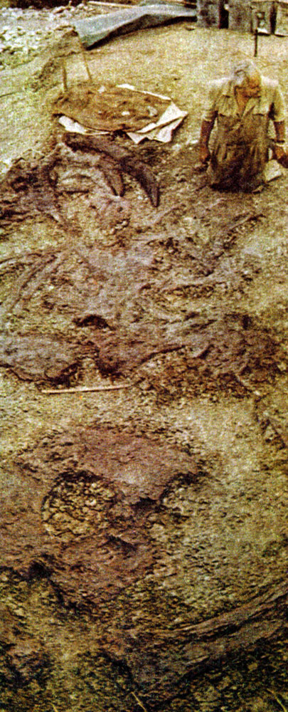 Луис Лики перед костями ископаемого слона динотерия
