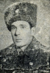 Полковник В. Т. Васильев