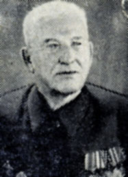 Подполковник в отставке М. И. Романюк