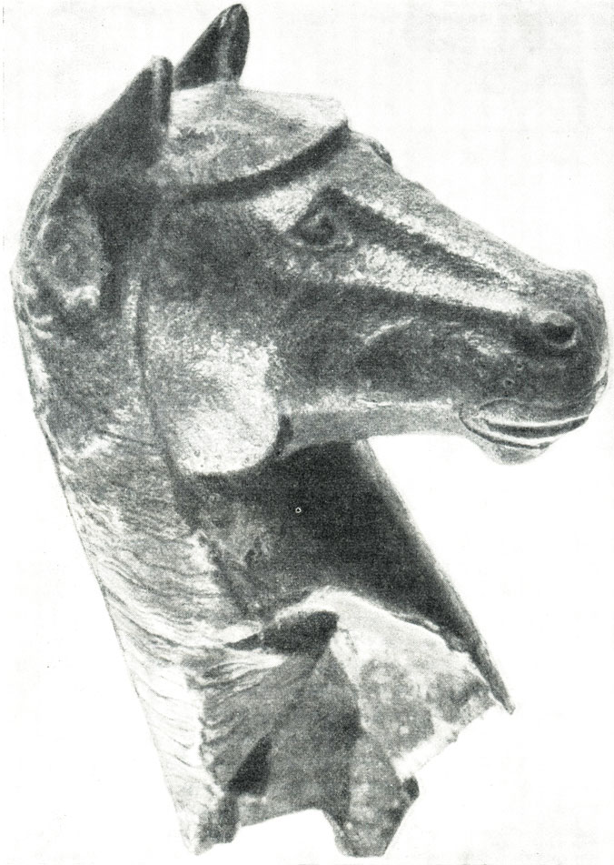 Бронзовая голова коня. Кармир-Блур. Армения. Раскопки 1957 г.
