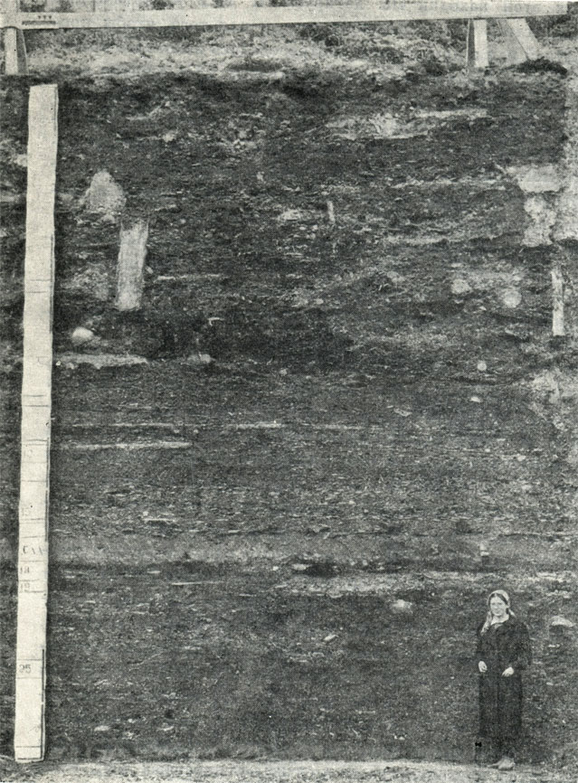 Раскопки на Неревском конце 1956 г.