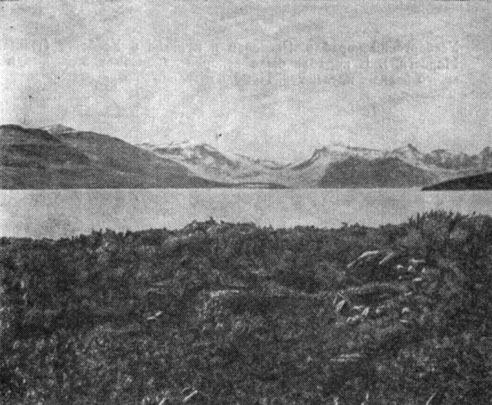 Развалины усадьбы Санднес в Вестербюгдене (Гренландия). Усадьба лежала в глубине Амераликфьорда (Люсефьорда). Вероятно, она принадлежала Турфинну Карлсэвне и его жене Гюдрид