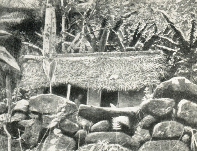 На руинах старого дворца короля людоедов мы соорудили наш первый дом из бамбука и пальмовых листьев