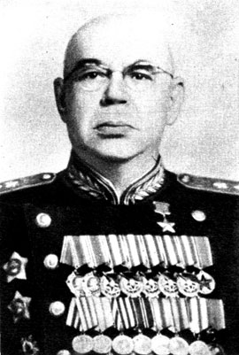 В. В. Новиков