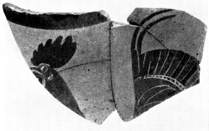 8. Фрагмент стенки закрытого сосуда с изображением петуха (Березань)