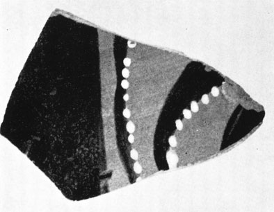 12 б. Обломки стенок сосудов с изображением осьминога (Березань)