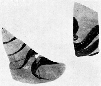13. Обломки стенок аска с изображением осьминога (Березань)
