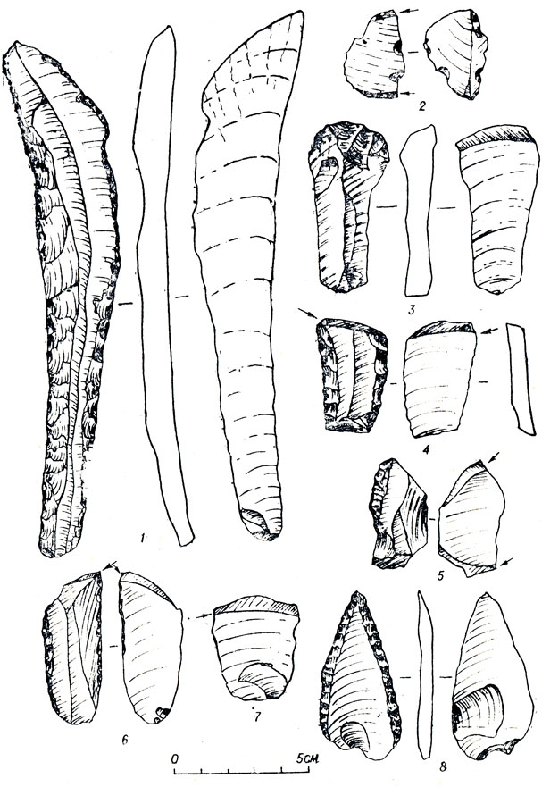 Самая большая пластина (1), инструменты с диагональным сколом (2-7) и остроконечник (8), обнаруженные на стоянке Анангула