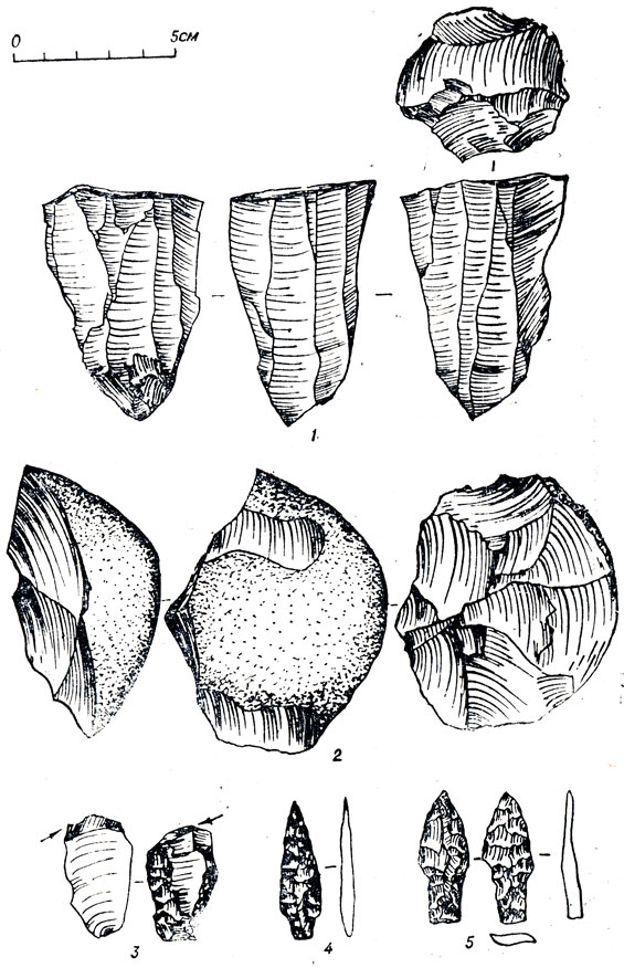 Образцы каменных изделий из Вилледж Сайт: нуклеусы (1, 2), инструмент с диагональным сколом (3), черешковые наконечники (4, 5)