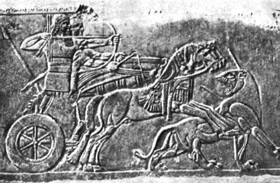 На алебастровом рельефе, на котором изображен ассирийский царь Ашшурбанапал, можно ясно увидеть упряжь, конструкцию и арматуру легкой колесницы. 1-я половина IX в. до н. э. Высота 0,97 м, ширина 1,83 м