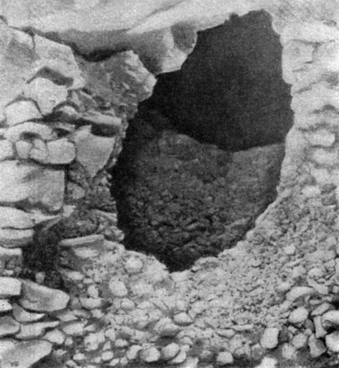 Нора, прорытая грабителями гробниц вблизи Белой Стены