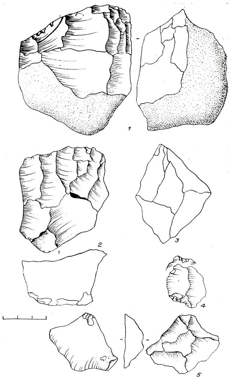 Рис. 2. Каменный инвентарь Кузедеево V. 1,2 - ядршца, 3,5 - долотовидная форма, 4 - выемчатое орудие