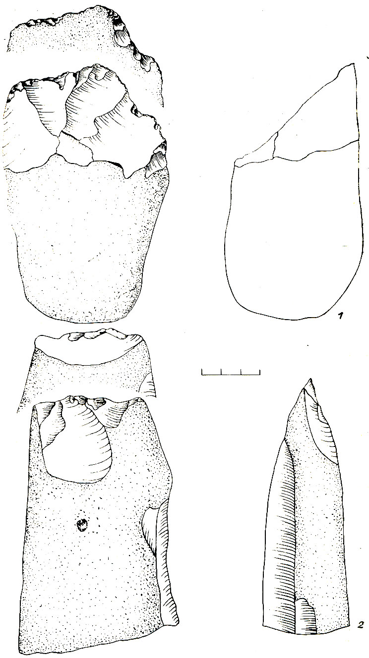 Рис. 19. Галечные орудия с местонахождения Бедарево II (1) и Шорохово I (2)