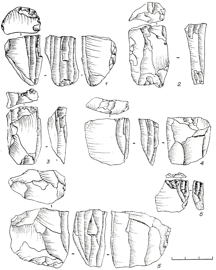 Рис. 41. Каменный инвентарь поселения Шорохово I. 1-6 - нуклеусы