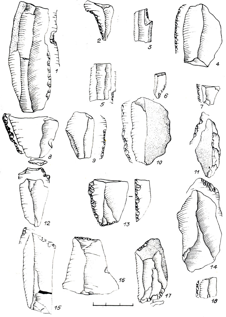 Рис. 45. Каменный инвентарь поселения Шорохово I. 1-18 - ретушированные пластины