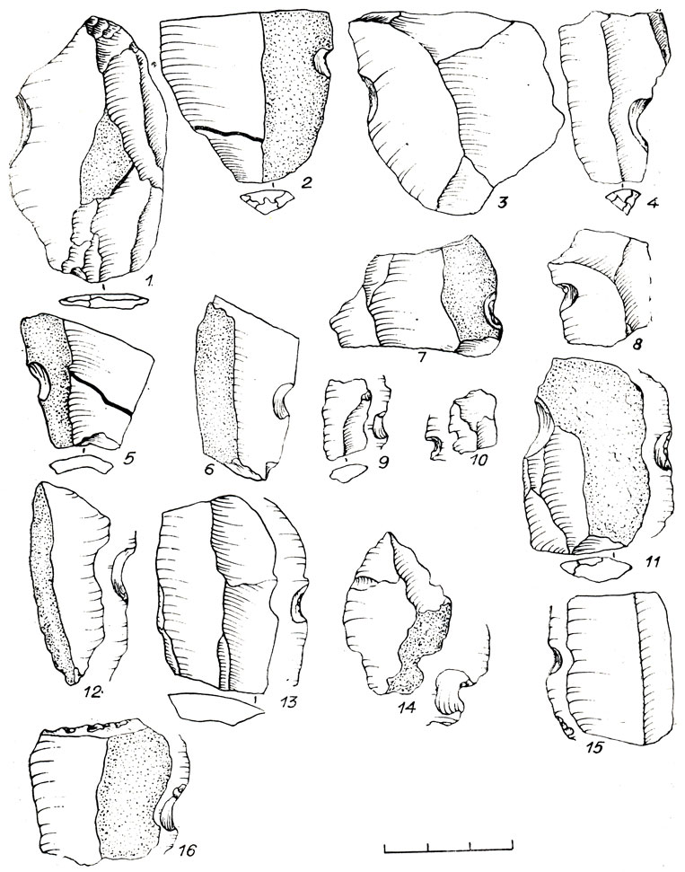 Рис. 53. Каменный инвентарь поселения Шорохово I. 1-16 - выемчатые формы