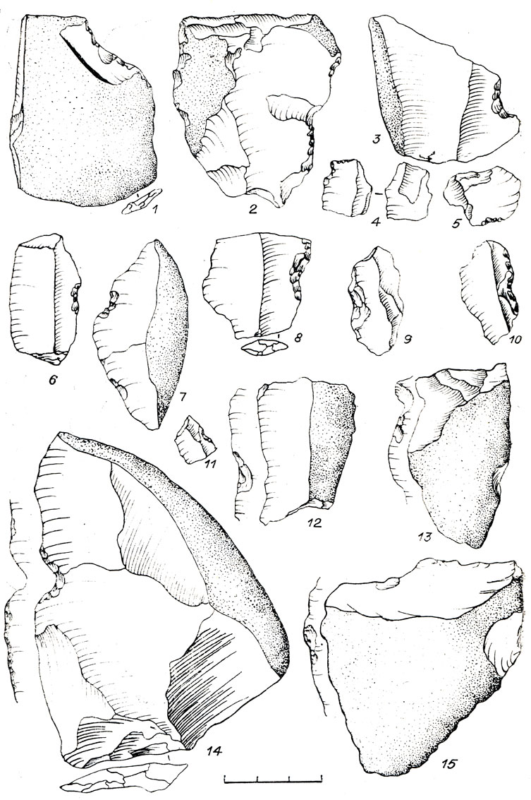 Рис. 54. Каменный инвентарь поселения Шорохово I. 1-15 - выемчатые формы