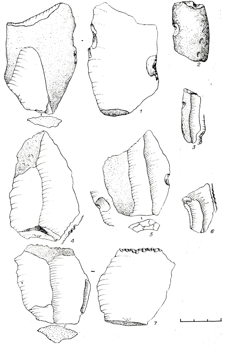 Рис. 56. Каменный инвентарь поселения Шорохово I. 1-3, 5 - выемчатые; 4, 6, 7 - зубчатые формы