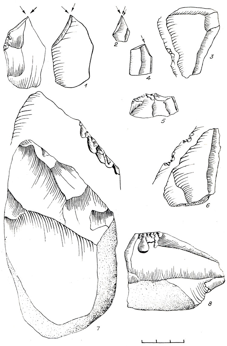 Рис. 62. Каменный инвентарь местонахождения Ильинка III. 1,2,4 - резцы; 3,5,6 - выемчатые и зубчатые формы; 7,8 - скребла