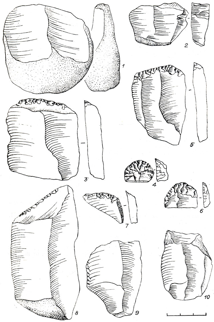 Рис. 63. Каменный инвентарь местонахождения Ильинка III. 1,2 - нуклеусы; з-7 - скребки; 8,9 - пластины с ретушью; 10 - проколка
