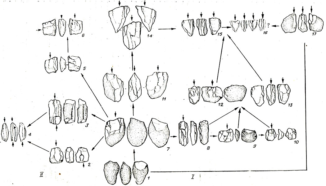 Рис. 83. Рабочая таблица развития техники параллельного принципа снятия (Шорохово I), I - группа однопдощадочнцх ядрищ; II - группа двухплощадочных ядрищ