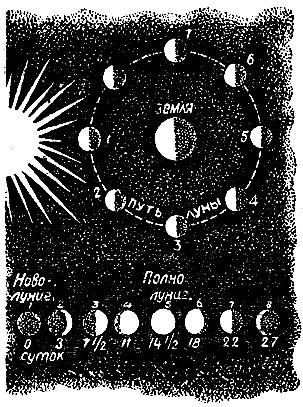 Как сменяются фазы Луны. Нижний рисунок показывает 'возраст' и вид Луны в моменты, обозначенные теми же цифрами на верхнем рисунке
