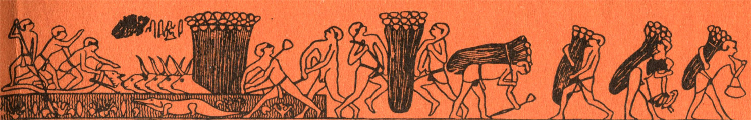 Нильский тростник стал сырьем для изготовления папируса - знаменитой бумаги древности