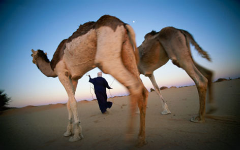 Загробный мир Египта нашелся в Чаде. Фото: Fotobank.ru/Getty Images