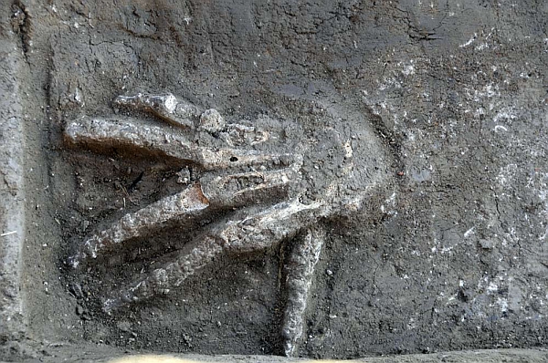 В Египте найден «клад» из отрубленных рук. Фото Axel Krause