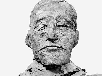 Голова мумии фараона Рамзеса III. Изображение G. Elliot Smith с сайта lib.uchicago.edu